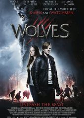 Kurtlar – Wolves