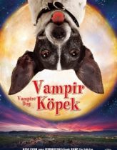 Vampir Köpek