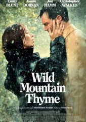 Wild Mountain Thyme